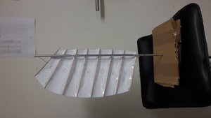 20191128_102342.jpg