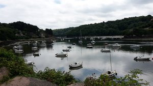 20180724_131832.jpg