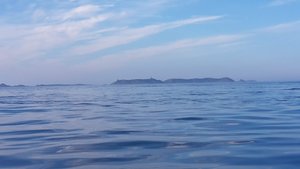 20180724_195921.jpg