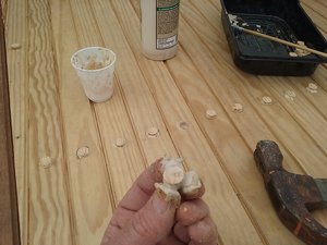 20190504_164621.jpg