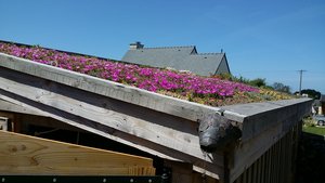20190703_145320.jpg