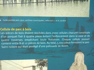 IMG_20200716_131011.jpg