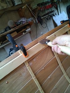 IMG_20200814_105300.jpg