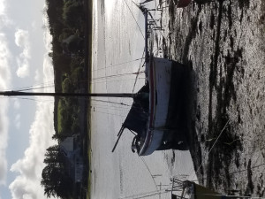 20201011_110241.jpg