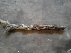 chain1.jpg