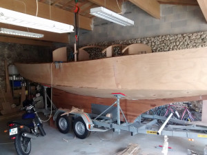 IMG_20201102_140939481.jpg