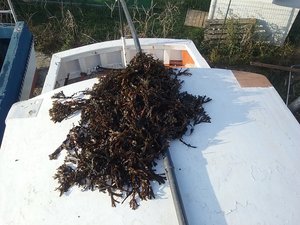 20181019_095747.jpg