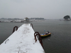 11 février la neige est arrivée (7).jpg