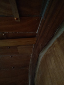 IMG_20210220_184157.jpg