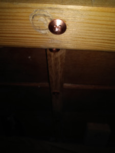 IMG_20210305_181738.jpg