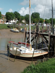 IMG_20210511_110542.jpg