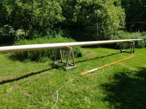 20210605_124651.jpg