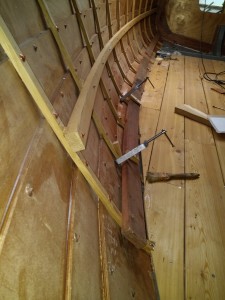 IMG_20210625_164527.jpg