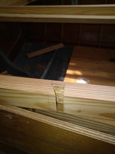 IMG_20210715_183035.jpg
