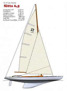 sitta_018.jpg