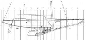 sitta_016.jpg