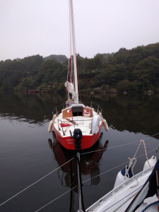 IMG_20211010_082136.jpg