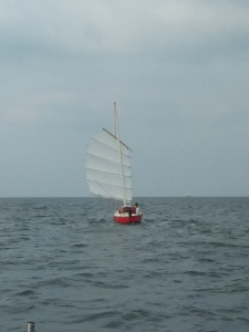 IMG_20211010_134828.jpg