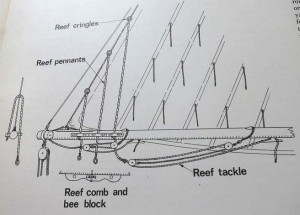 35815114072_77ea839b4f_c.jpg