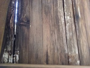 20181024_142519.jpg