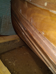 IMG_20220306_170004.jpg