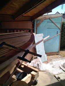 IMG_20220717_115643.jpg