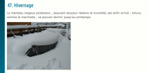 Capture d’écran 2022-11-27 à 10.16.48.png