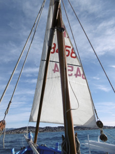 foc sur boutehors.jpg