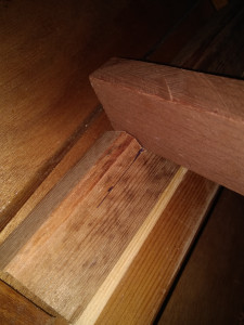 IMG_20230114_184315.jpg