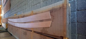 20220824_122451.jpg