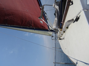 DSC09389.JPG