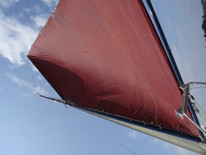 DSC09386.JPG