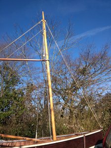 IMG_20190224_153510.jpg