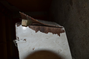 DSC_1374.JPG