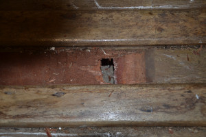 DSC_1382.JPG
