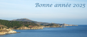Voeux2025.JPG