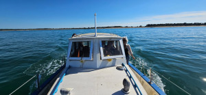 IMG-20240510-WA0005.jpg