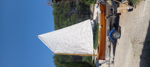 20250531_152921.jpg