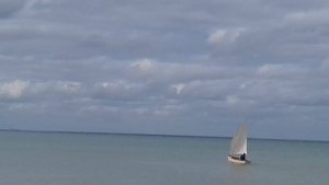 20170721_165402.jpg