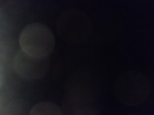 20190521_163637.jpg