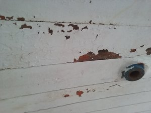 20190604_092738.jpg