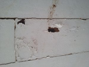 20190604_092831.jpg