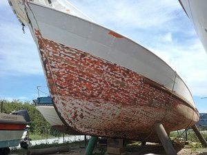 20190620_165407.jpg