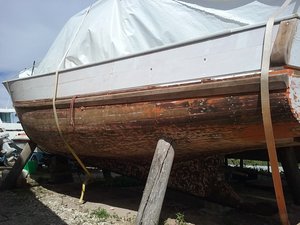 20190620_165439.jpg