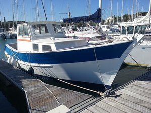 20190715_094154.jpg