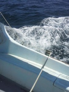 20190713_154235.jpg