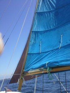 20190713_154252.jpg