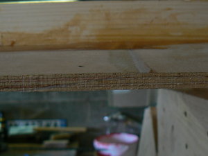 P1050440.JPG
