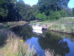 IMG_2831.JPG