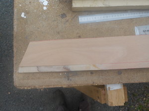 DSCN0480.JPG